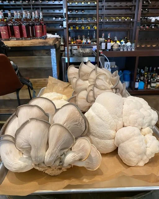 Fresh lion's mane and oyster mushrooms from Driftwood Farms at Mash & Vine Market
